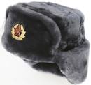 Best price ushanka winter hat