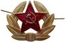 Soviet Army soldier insignia