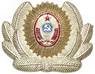 Soviet militsia insignia
